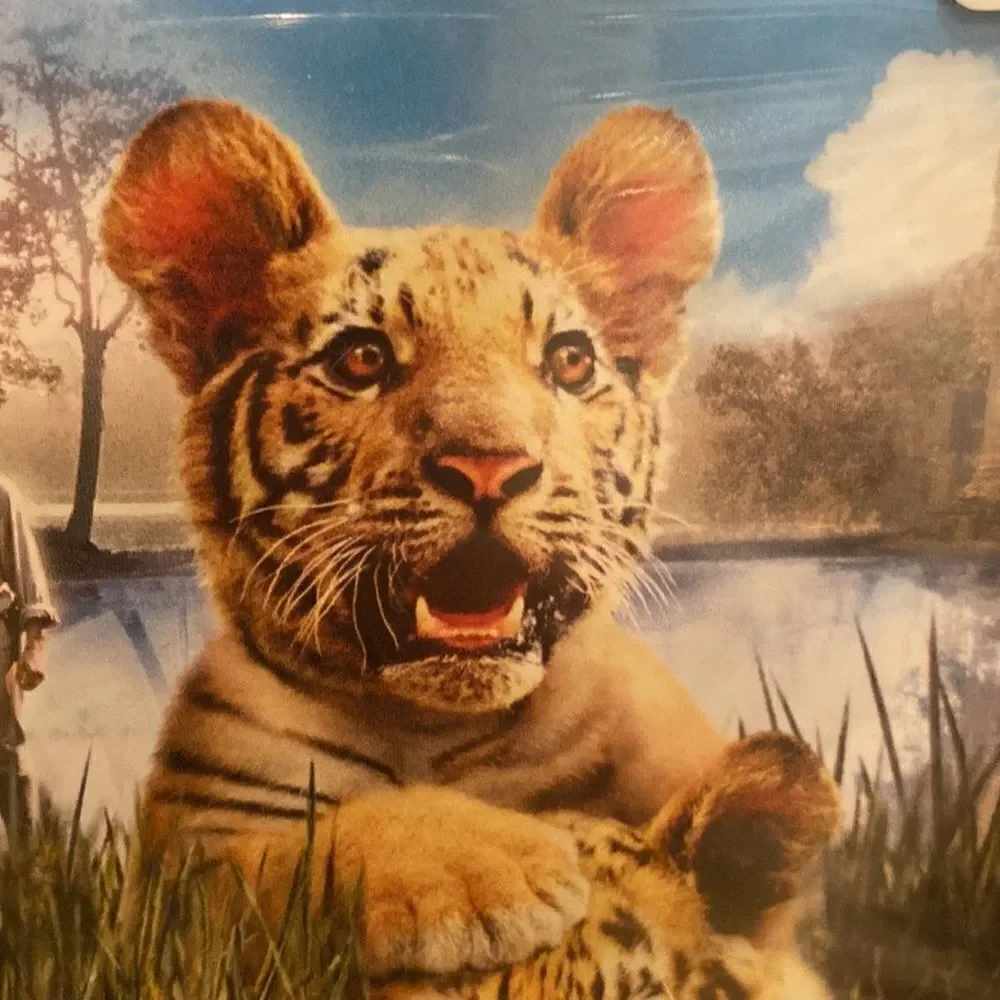 DVD Two Brothers The Best Family Film of the Year PG Widescreen 🍿3/$15 - Picture 11 of 12